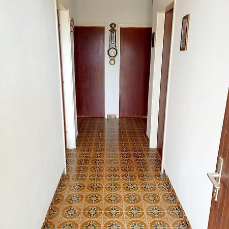 Apartman Sunnyside ロゴズニッツァ エクステリア 写真
