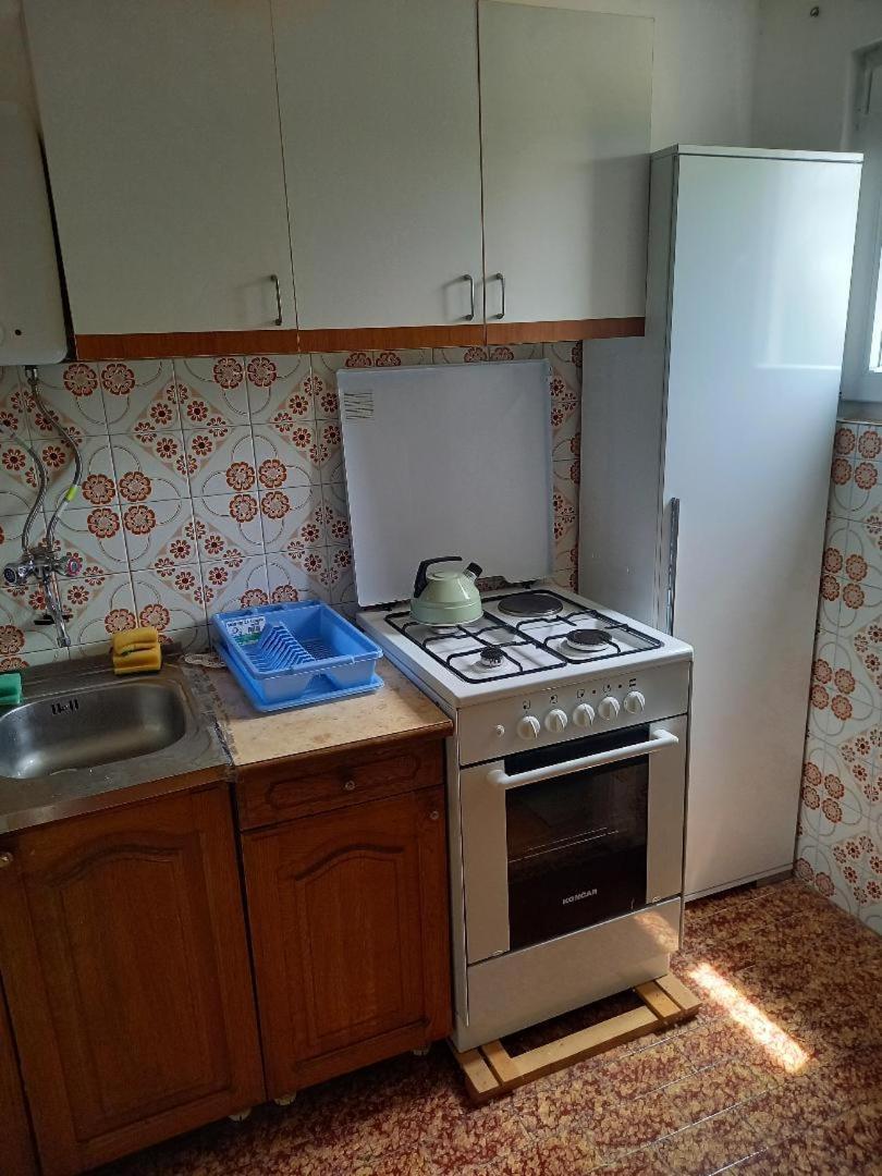 Apartman Sunnyside ロゴズニッツァ エクステリア 写真